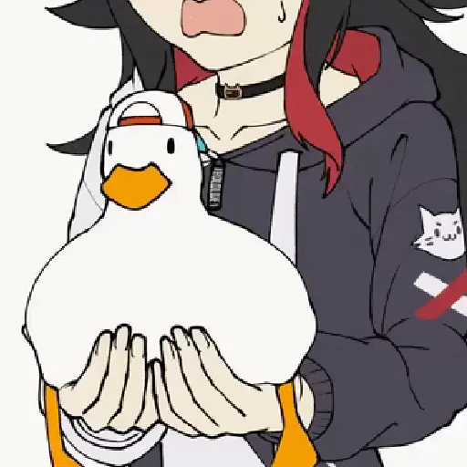 Pato Bailando 🦆Dance Duck 🪩