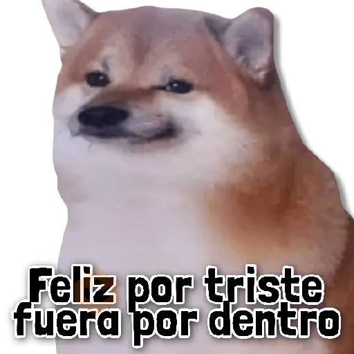 🪖COMBO de Stickers #➊➒ sticker 15