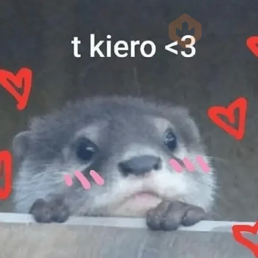MOOD 💌 • San Valentin • 💌 sticker 18