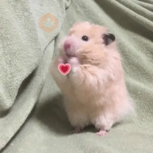 MOOD 💌 • San Valentin • 💌 sticker 16