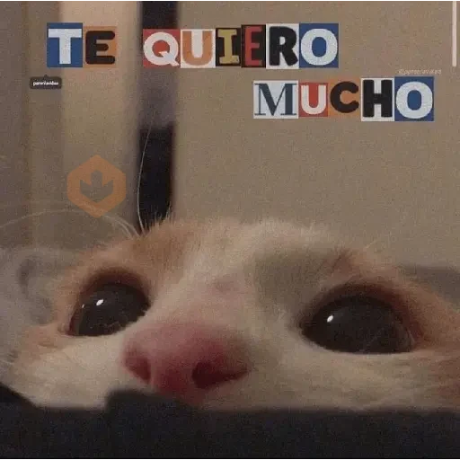 MOOD 💌 • San Valentin • 💌 sticker 11