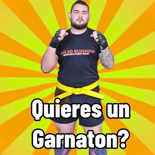 Carnv sticker 26