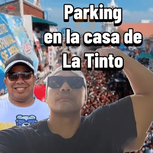 Carnv sticker 12