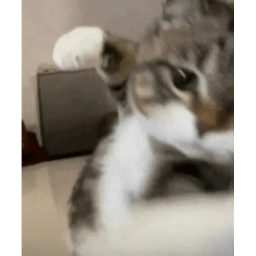 tiktok reactions pt2