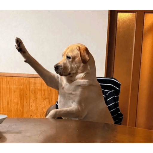 tiktok reactions pt2 preview