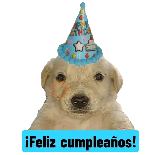 Festejos sticker 28