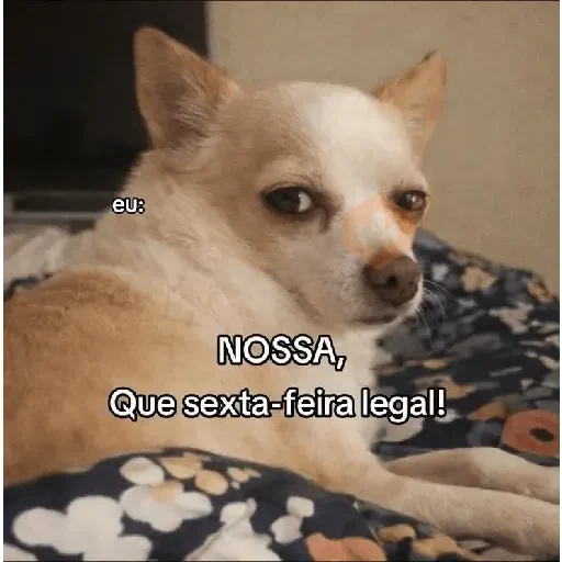 frases memes sticker 15