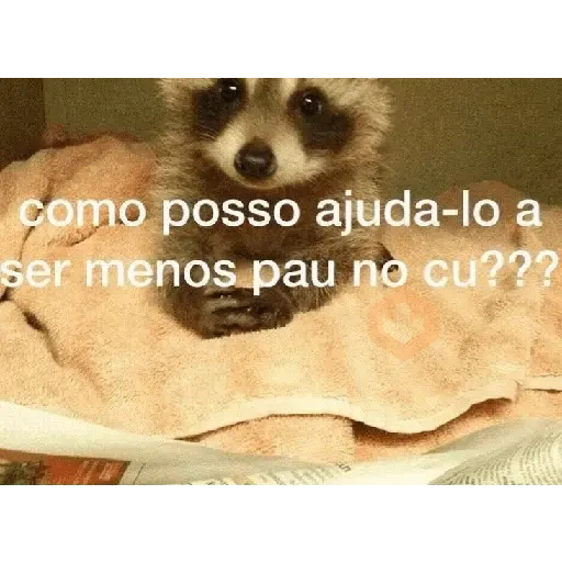 frases memes sticker 14