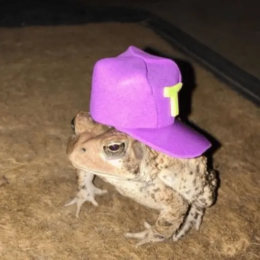 🐸 Ranitas Random 🐸