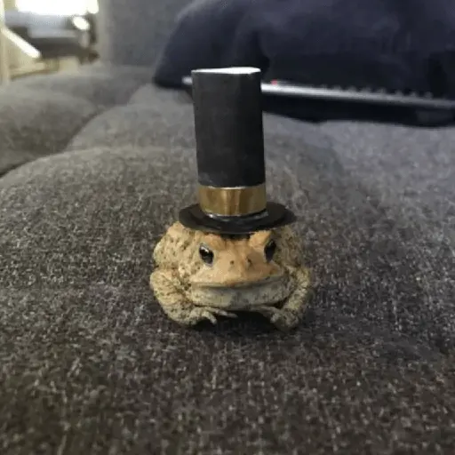 🐸 Ranitas Random 🐸