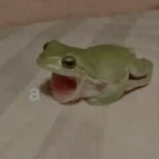 🐸 Ranitas Random 🐸