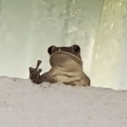 🐸 Ranitas Random 🐸 preview