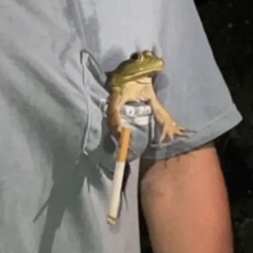🐸 Ranitas Random 🐸