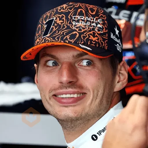 Max Verstappen sticker 29