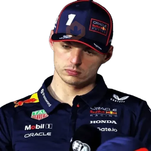Max Verstappen sticker 17