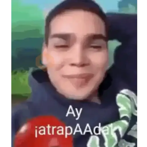 Vergas sticker 24