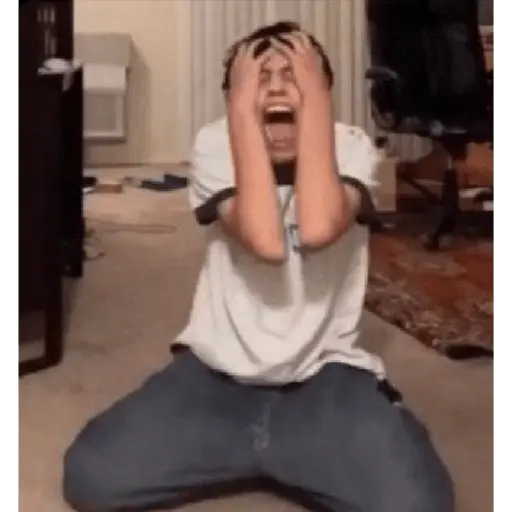 Tiktok—reaction image