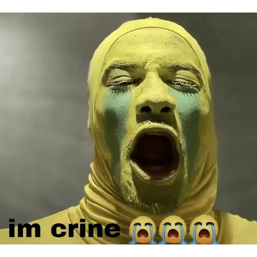 Tiktok—reaction image