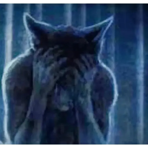 Tiktok—reaction image