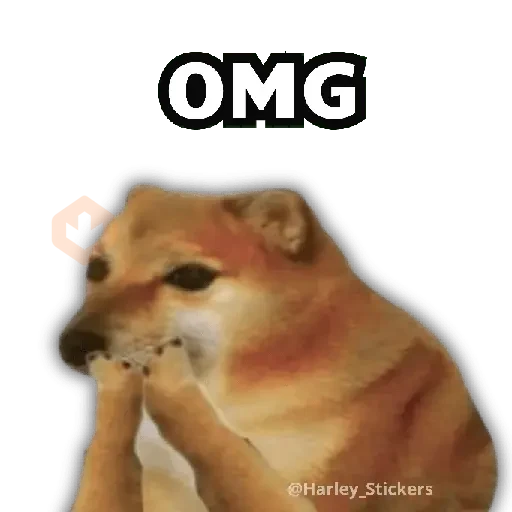 💬🥭 Perrito Pal CHAT 🥭💬 sticker 13