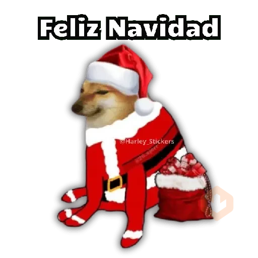 💬🥭 Perrito Pal CHAT 🥭💬 sticker 15