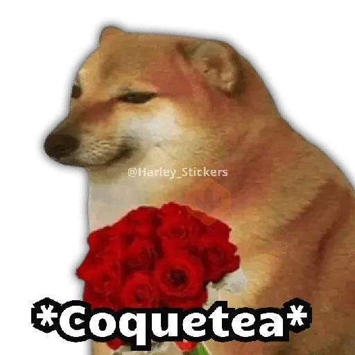 💬🥭 Perrito Pal CHAT 🥭💬 sticker 14