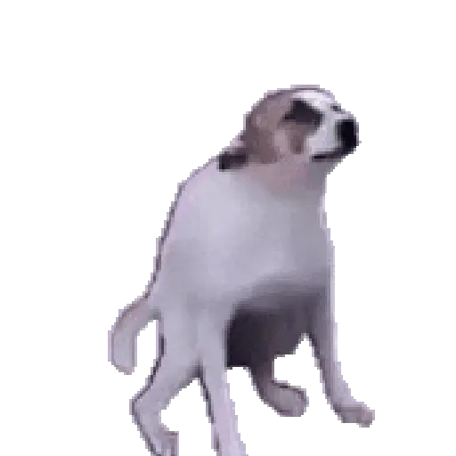 🎶🪩 TIKTOK Dancing 🪩🎶