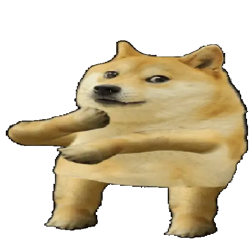 🎶🪩 TIKTOK Dancing 🪩🎶