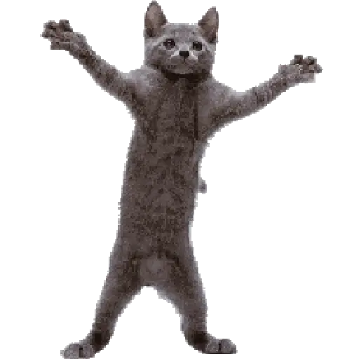 🎶🪩 TIKTOK Dancing 🪩🎶