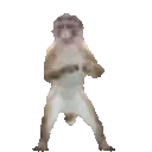 🎶🪩 TIKTOK Dancing 🪩🎶