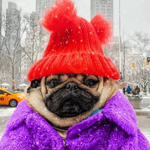 ❄️🐕 Perros Mood Frío 🐕❄️ sticker 18