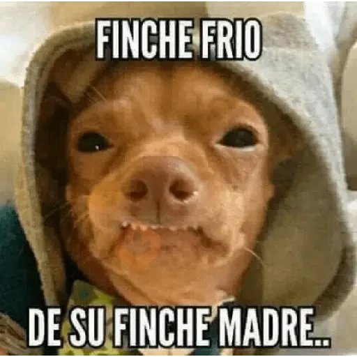 ❄️🐕 Perros Mood Frío 🐕❄️ sticker 22