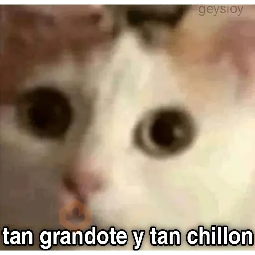 Memes Ramdon 3 🔥 sticker 25