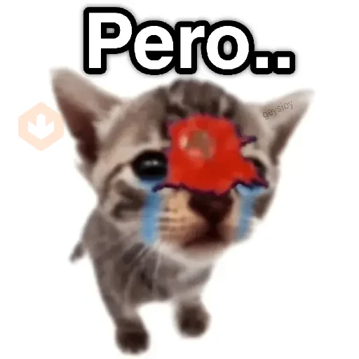 Memes Ramdon 3 🔥 sticker 11