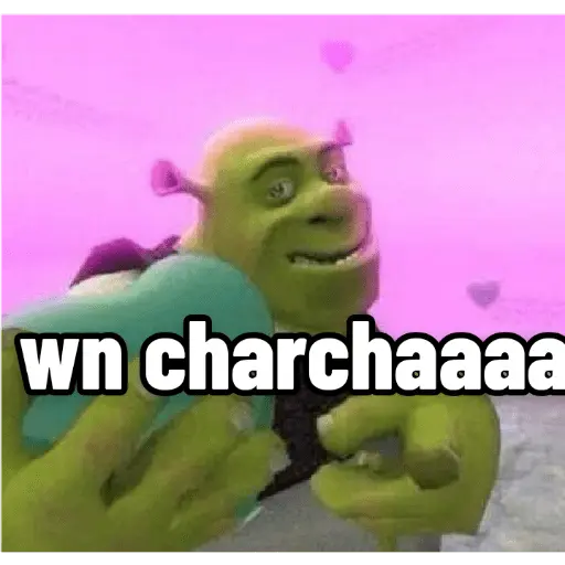 lo ma pasao al chancho chaaa🇨🇱