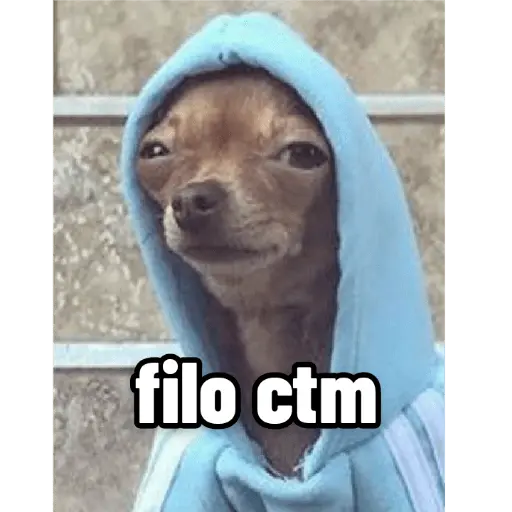 lo ma pasao al chancho chaaa🇨🇱