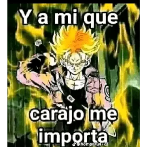 dragon ball
