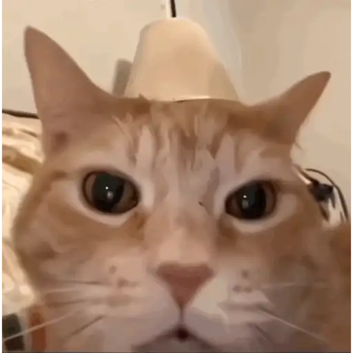 Tiktok starter pack 9.0 (gif)