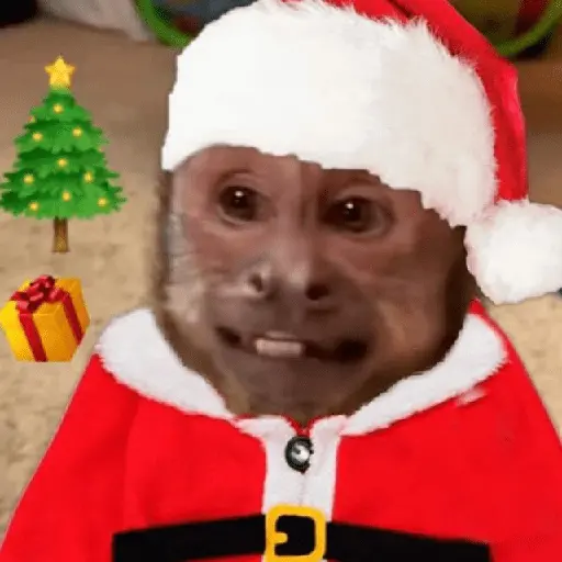 🎄Animalitos Yingolbel🎄