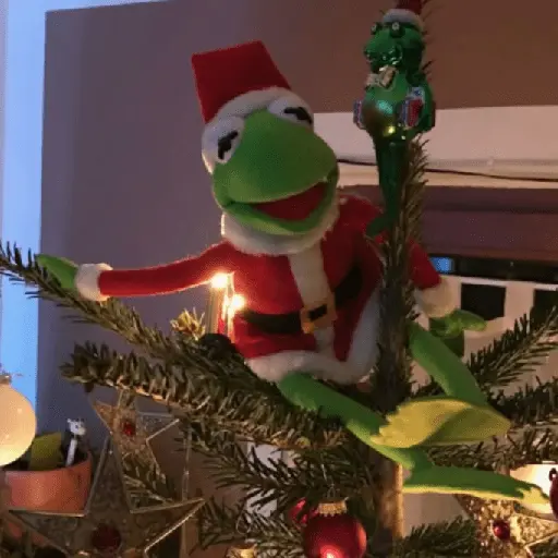 🎄Animalitos Yingolbel🎄