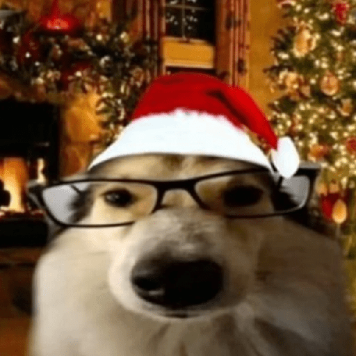 🎄Animalitos Yingolbel🎄 preview