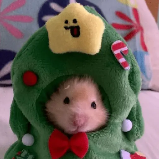 🎄Animalitos Yingolbel🎄