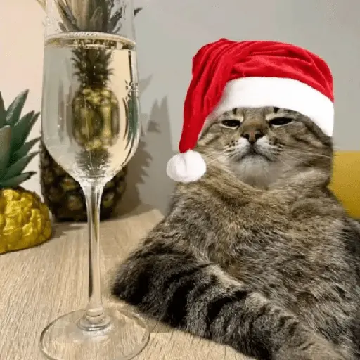 🎄Animalitos Yingolbel🎄