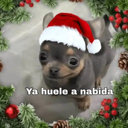 🎄Animalitos Yingolbel🎄