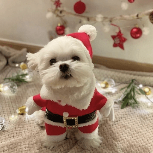 🎄Animalitos Yingolbel🎄 preview