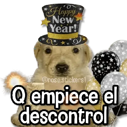 Año Nuevo🎆🆕🎉 sticker 13