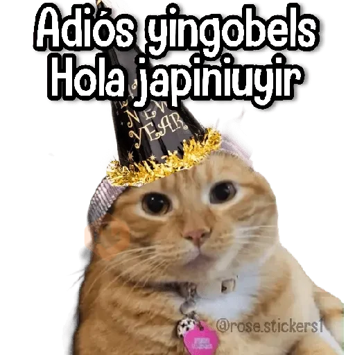 Año Nuevo🎆🆕🎉 sticker 12