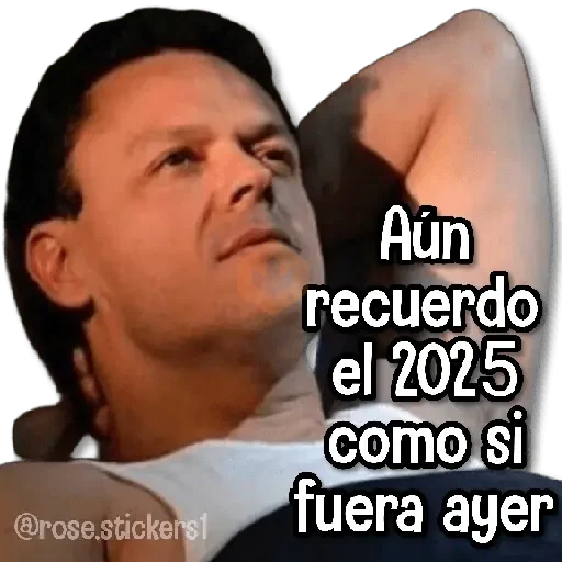 Año Nuevo🎆🆕🎉 sticker 14