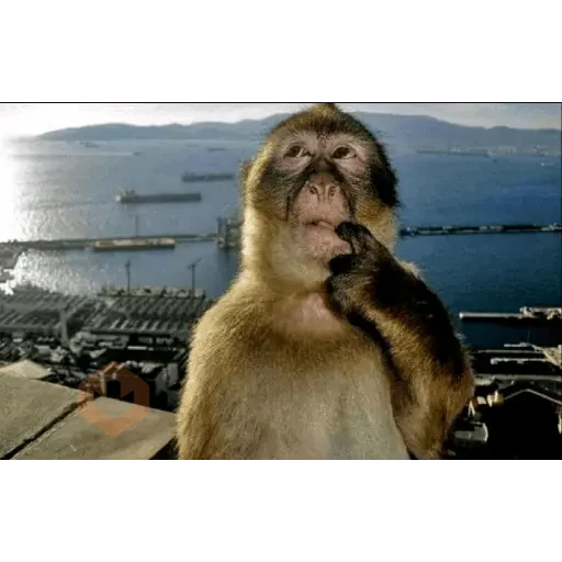Meme reaction tiktok (1) sticker 20