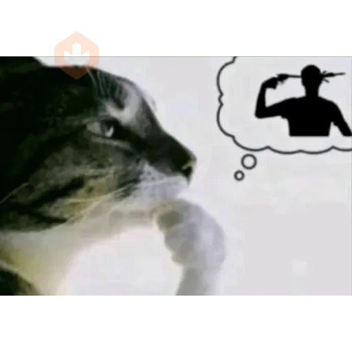 Meme reaction tiktok (1) sticker 18